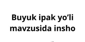 Buyuk ipak yo’li mavzusida insho