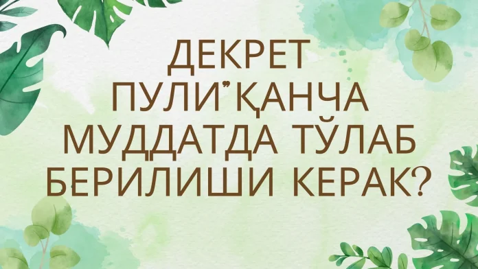 Декрет пули”қанча муддатда тўлаб берилиши керак?