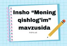 Insho “Mening qishlog’im” mavzusida