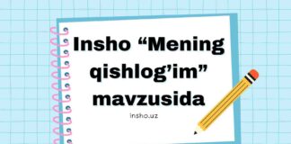 Insho “Mening qishlog’im” mavzusida