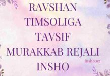 Ravshan timsoliga tavsif murakkab rejali insho