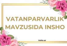 Vatanparvarlik mavzusida insho