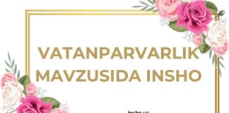 Vatanparvarlik mavzusida insho