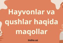 Hayvonlar va qushlar haqida o'zbek halq maqollar to'plami