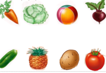 Sabzavotlar: Topishmoqlar, O‘yinlar va Ta’limiy Mashg‘ulotlar